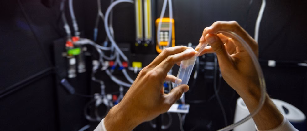 What is the CIP code for cognitive science?