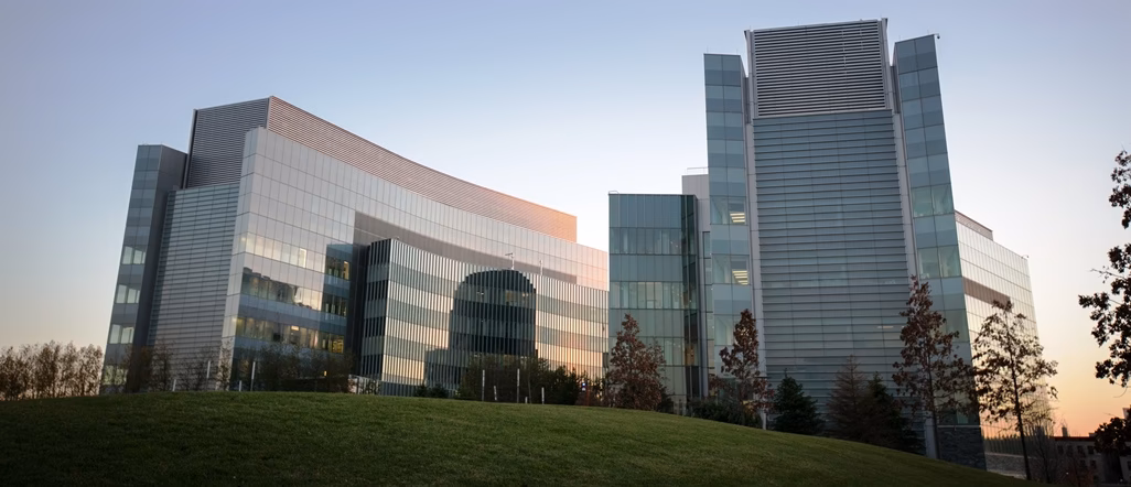 What majors is City College known for?