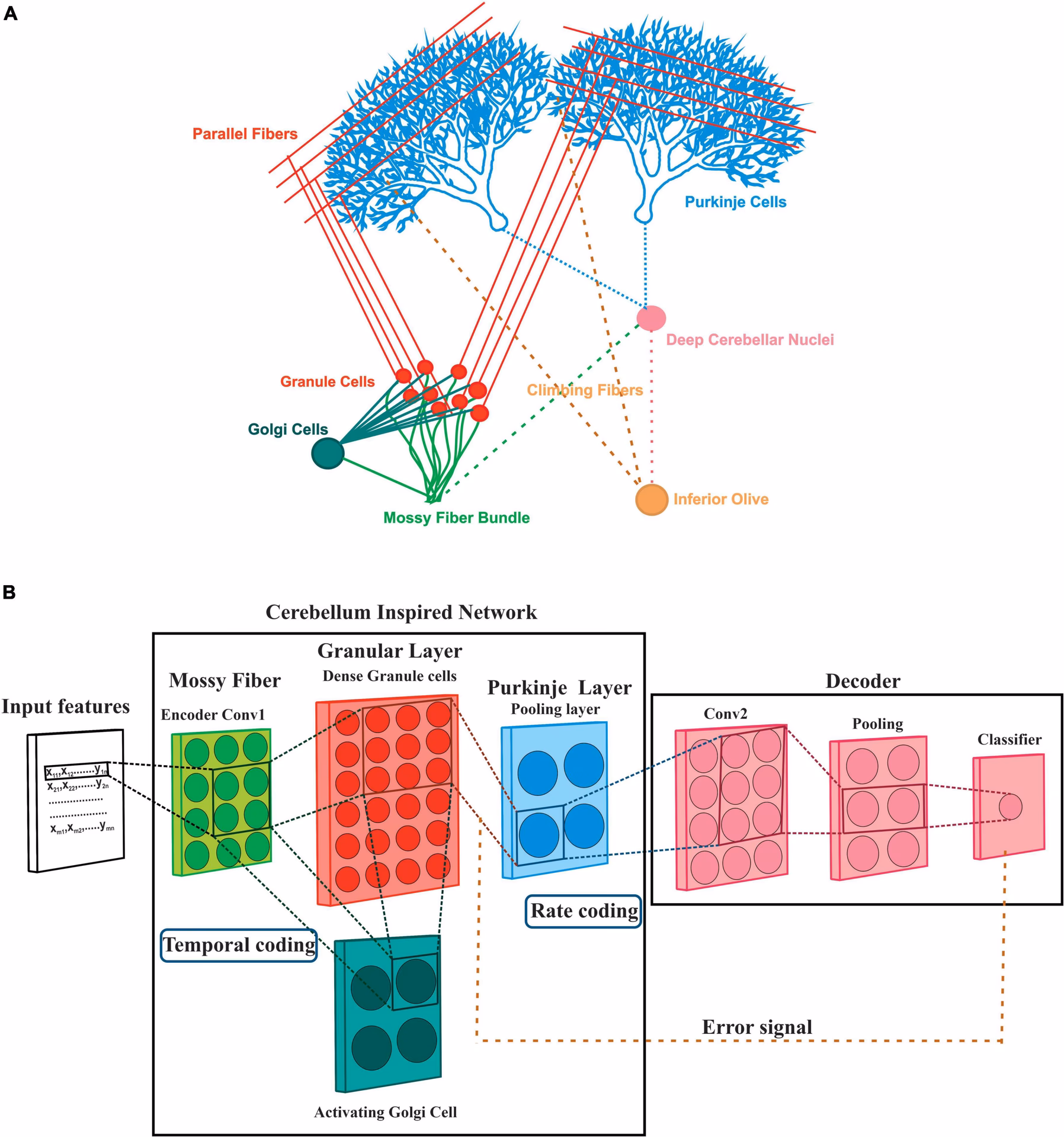 What is the principle of classifier?