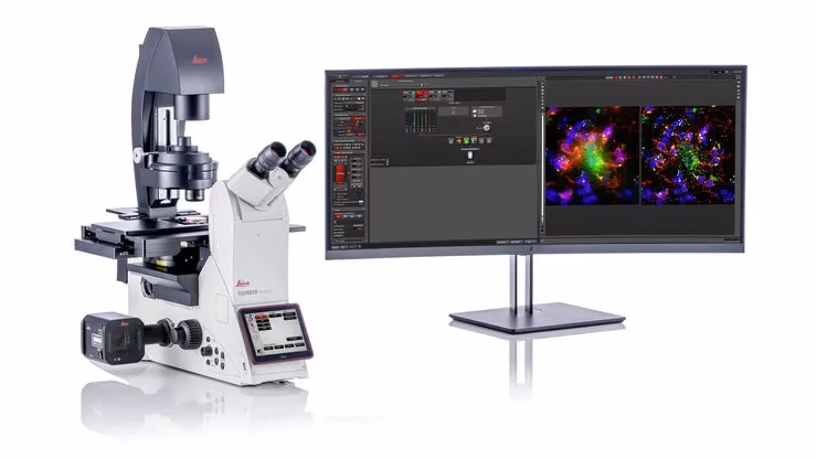 What does an electron microscopist do?