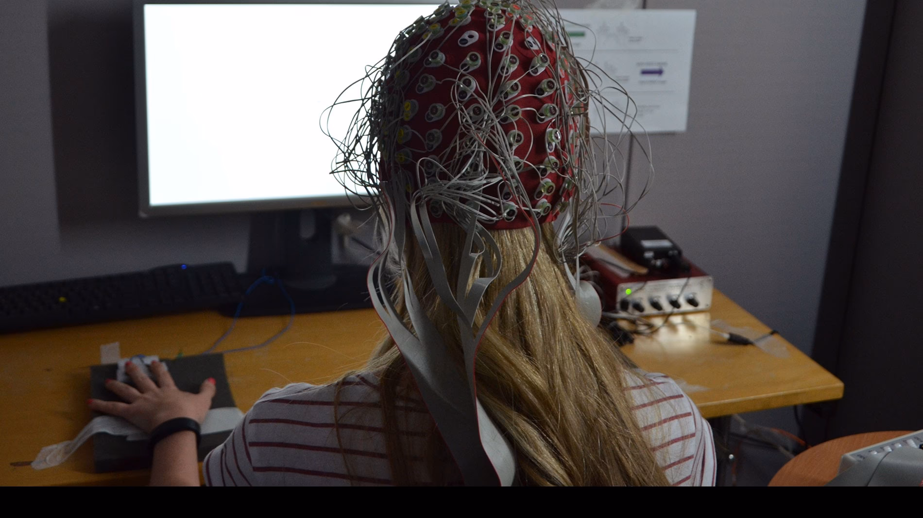 What is the difference between clinical neuropsychology and cognitive neuroscience?