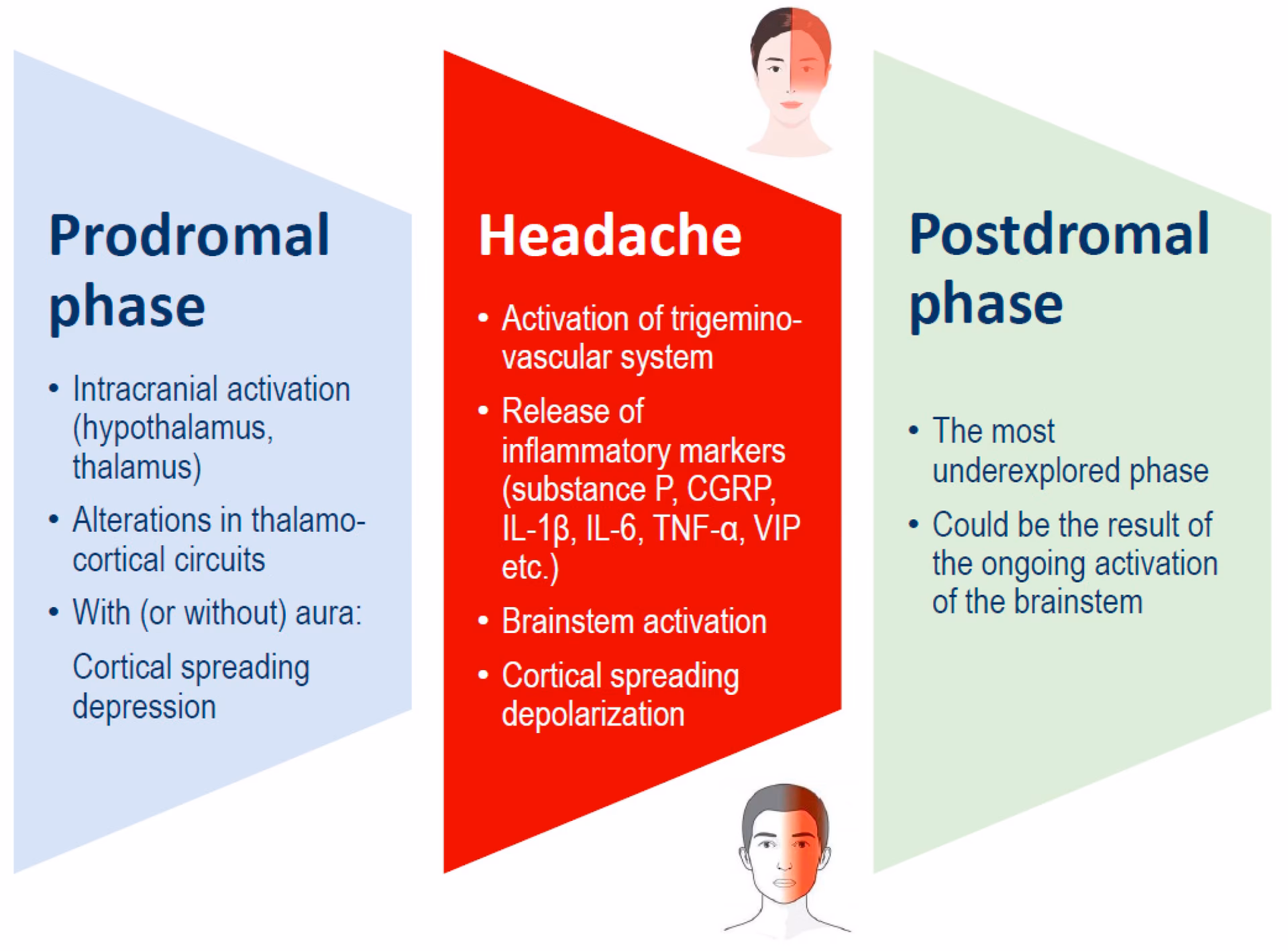 Does magnesium really help with migraines?