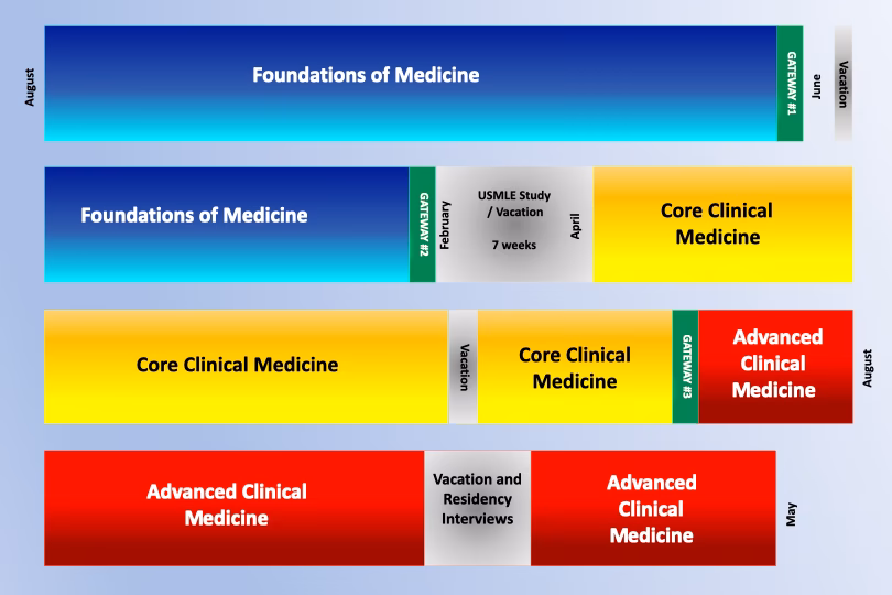 What is the downstate clinical neuroscience pathway?