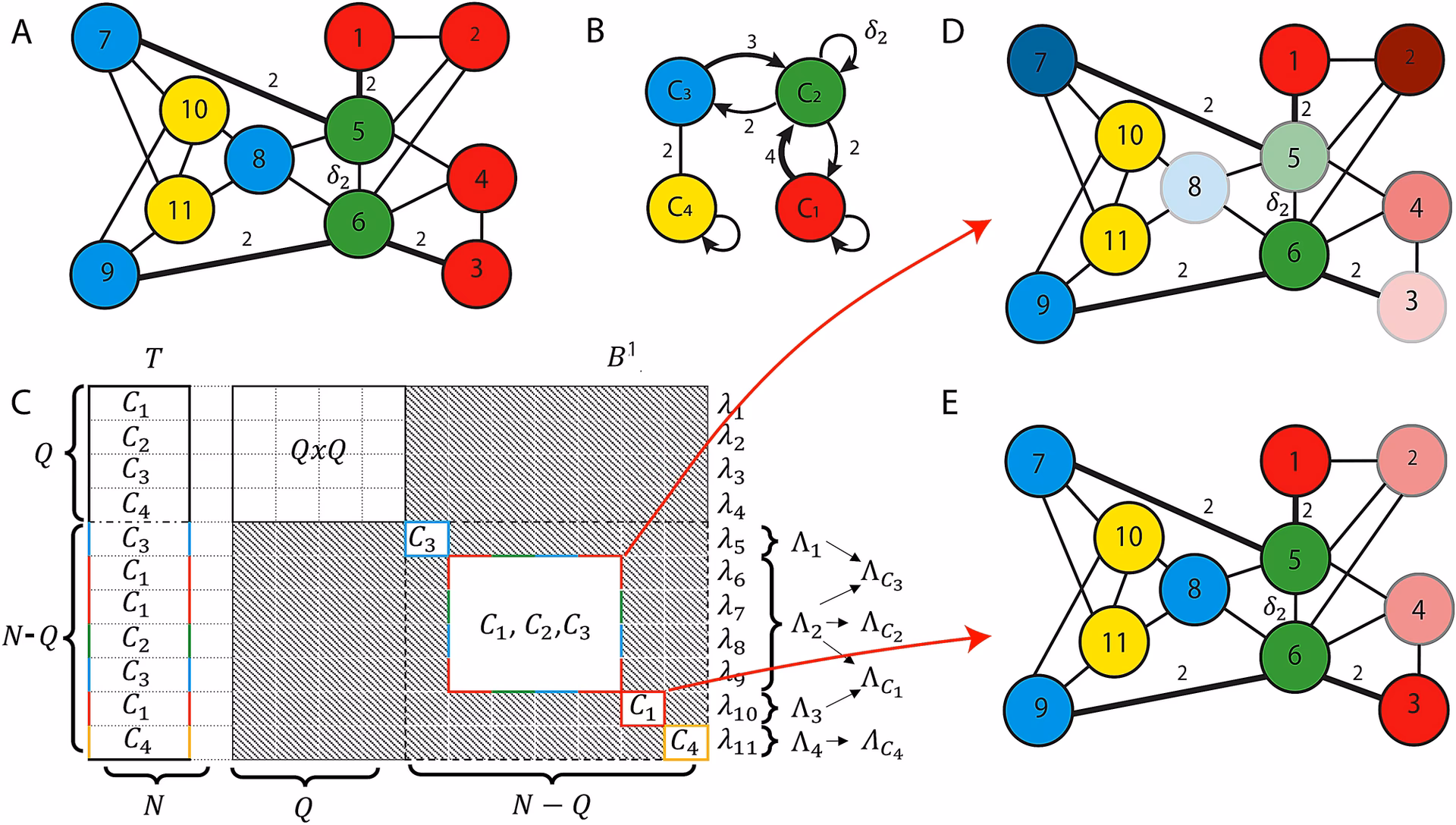 What are neuronal clusters?