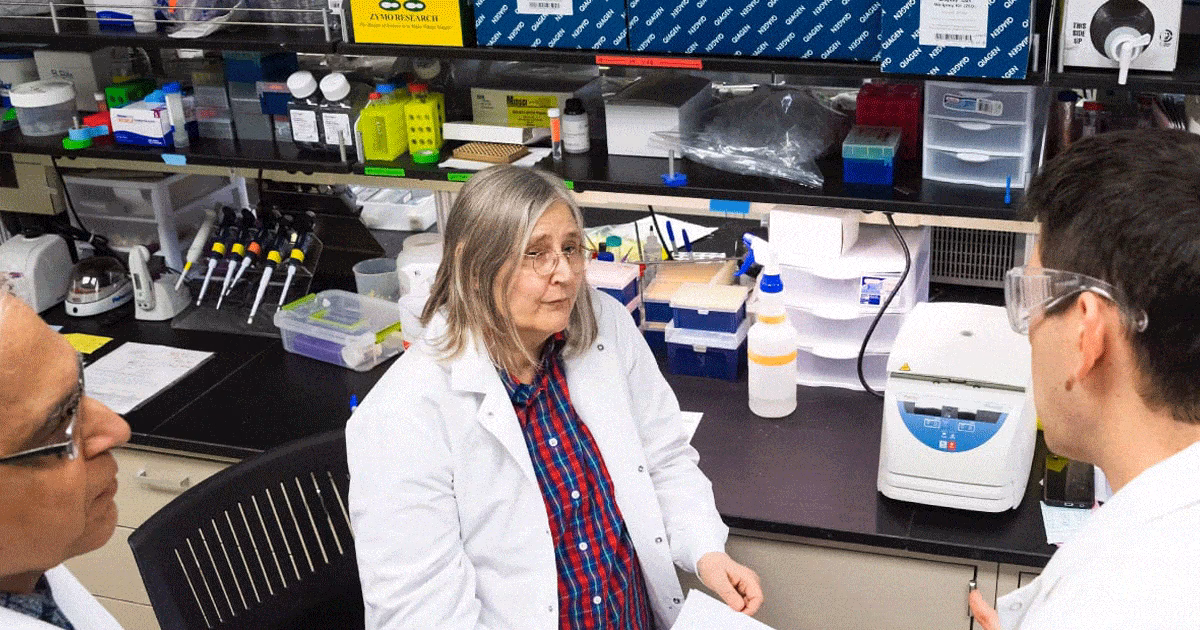 How big is the campus of Cmich?