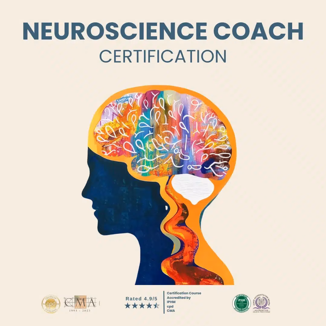 What is the brain based coaching program?