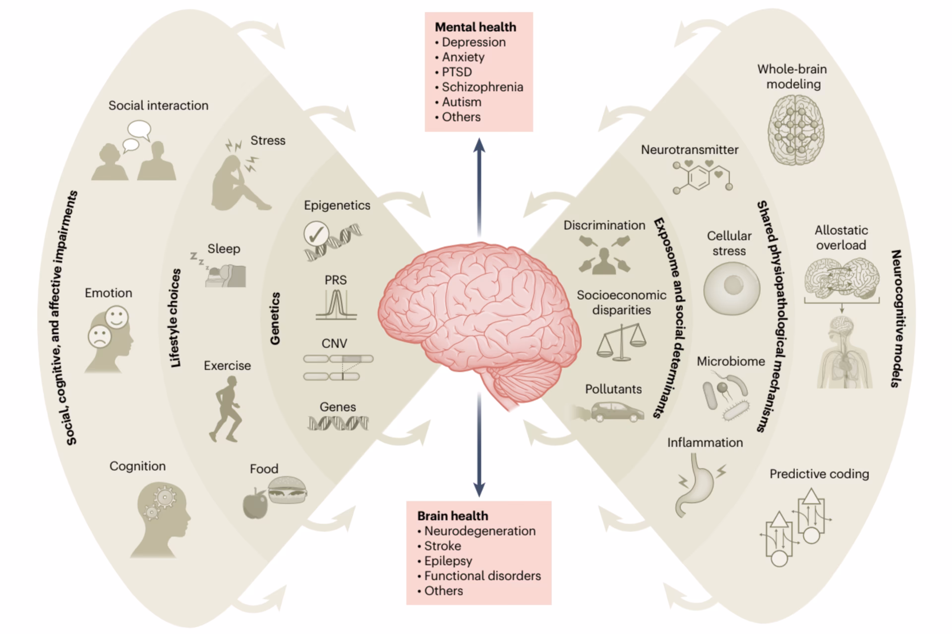 How does cognitive health affect mental health?