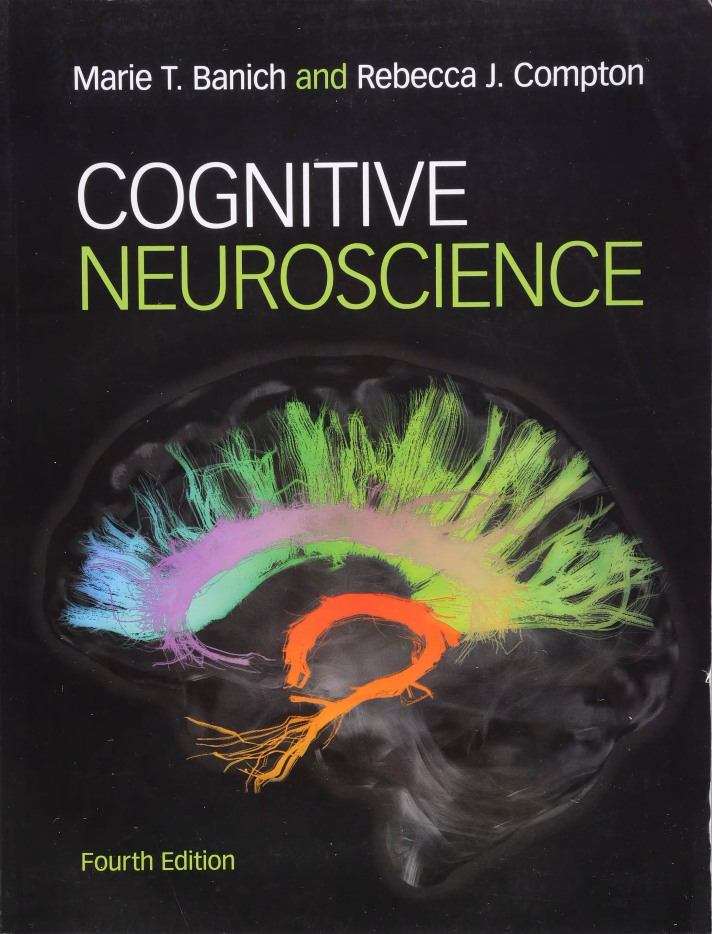 What degree do you need to be a cognitive neuroscientist?