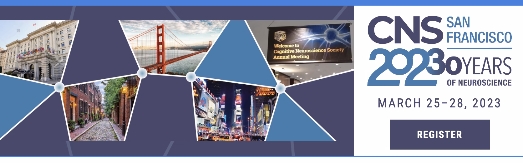 What is the course cognitive neuroscience about?