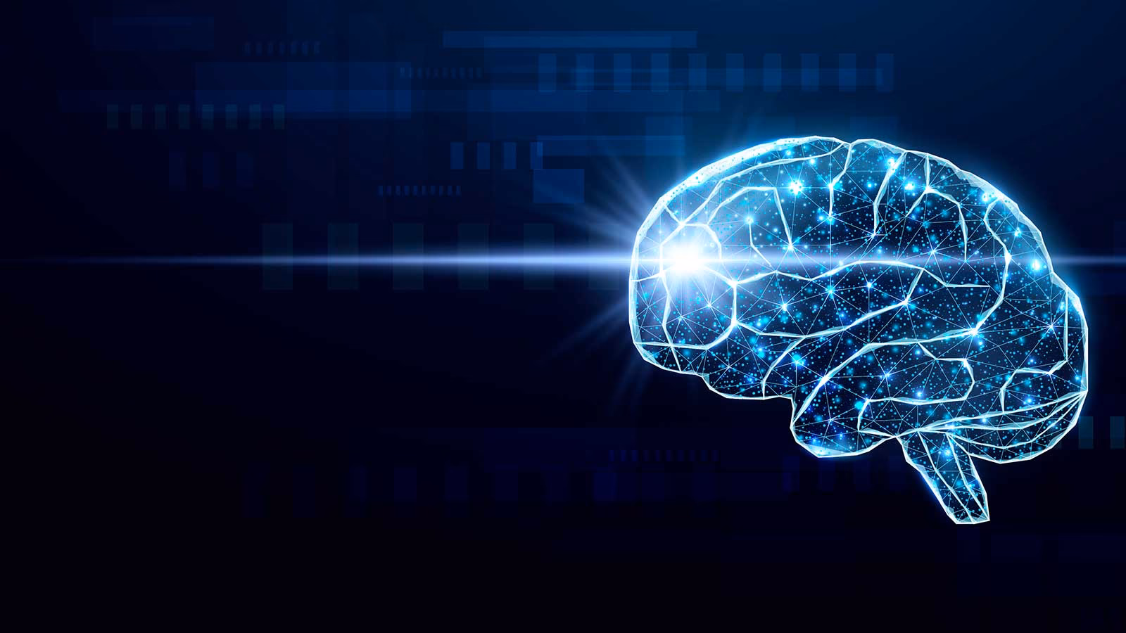 What can you do with a minor in cognitive science?