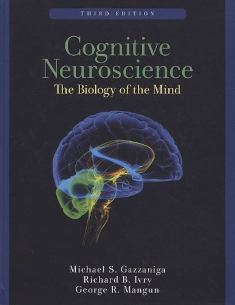 What is the theory of mind in cognitive neuroscience?