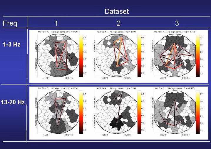 What is neuronal coherence?