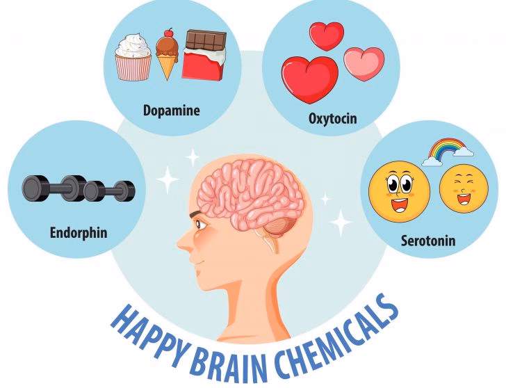 ¿Cuáles son las 5 hormonas para enamorar a un hombre?