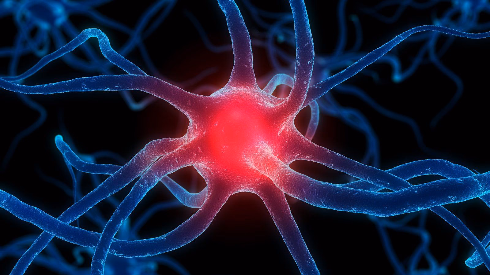 ¿Es importante la química para la neurociencia?