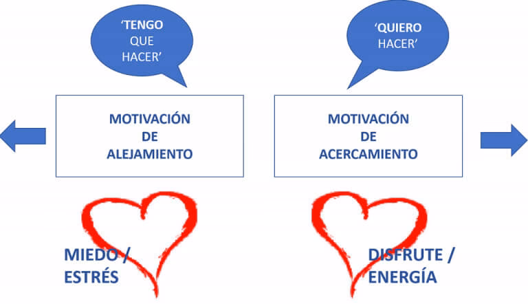 ¿Cuál es la base neurológica de la procrastinación?
