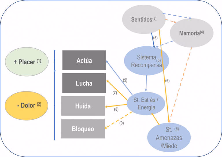 ¿Qué se aprende en neurociencia del comportamiento?