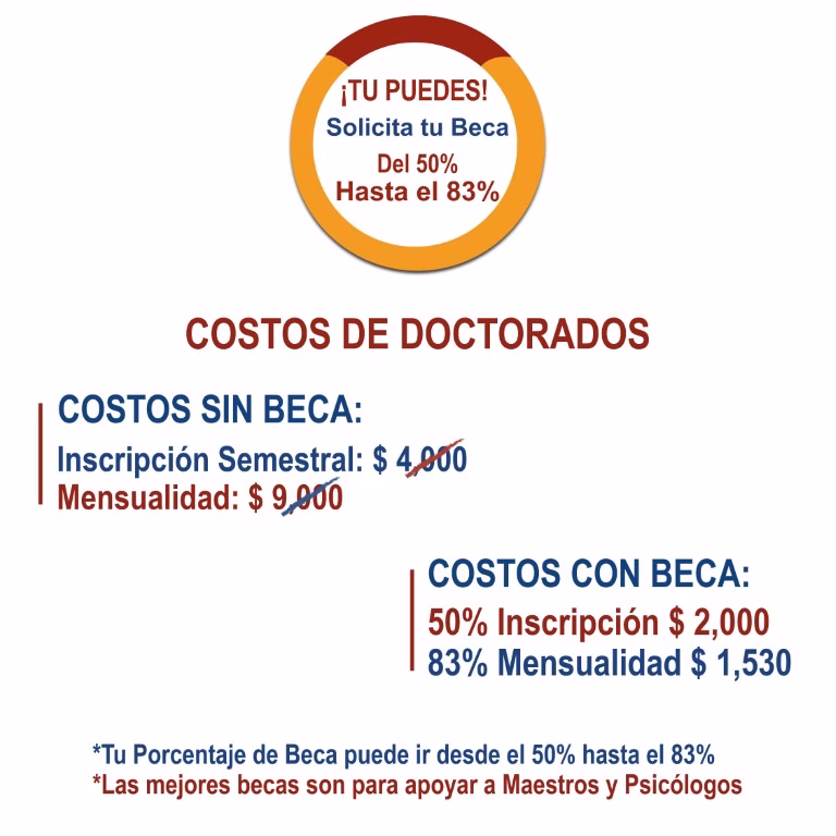 ¿Cómo acceder al doctorado en neurociencia?