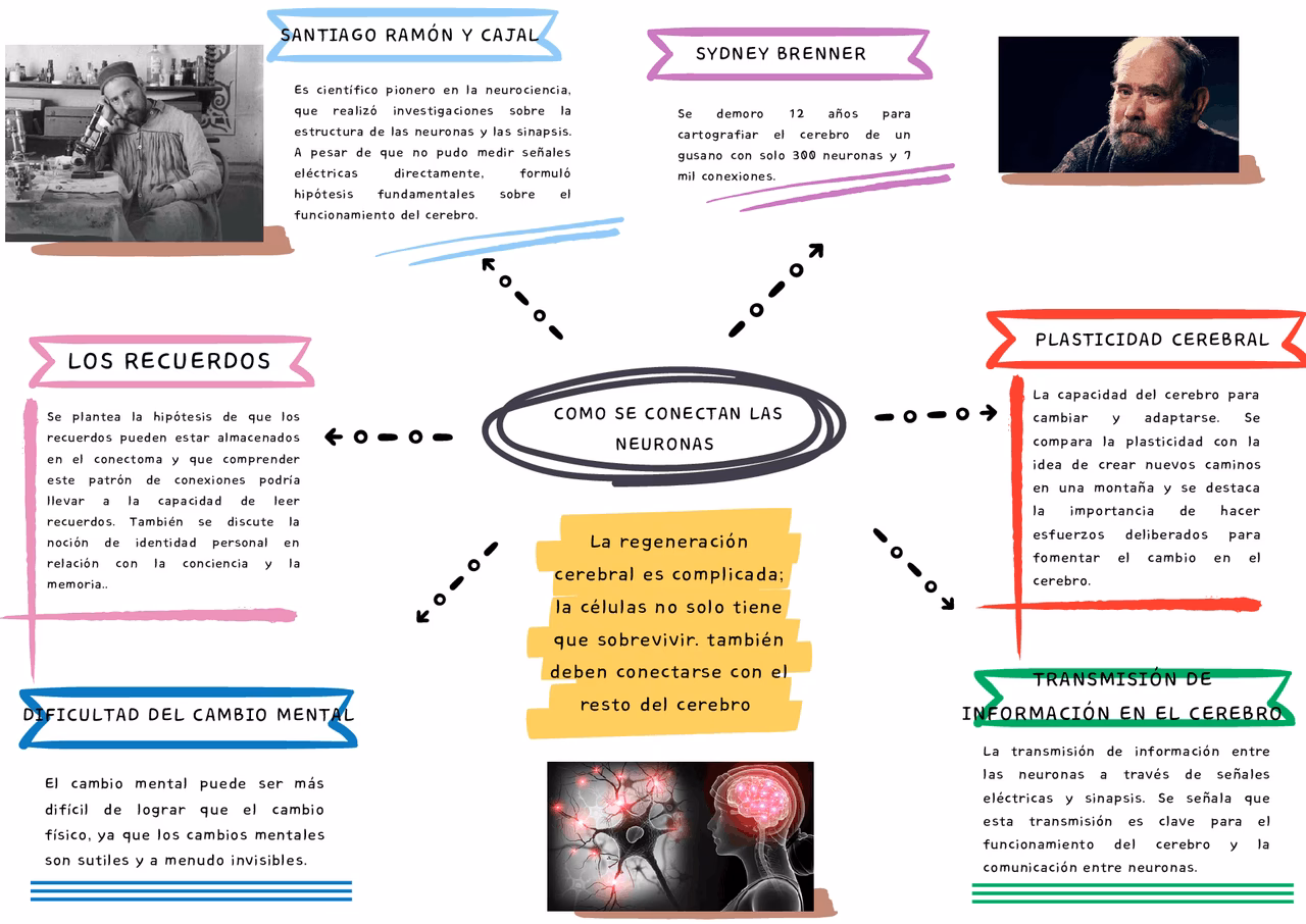¿Cómo se comunica el cerebro con las neuronas?