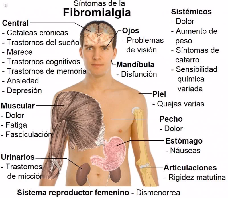 ¿Qué es la sensibilidad del cuerpo?