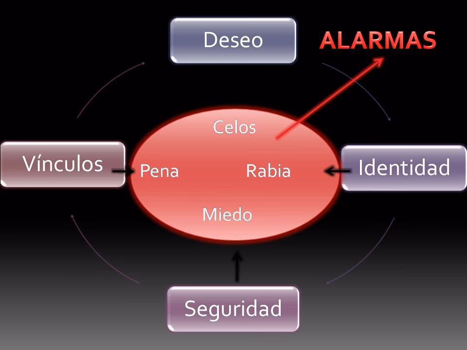 ¿Qué es la modularidad en el cerebro?
