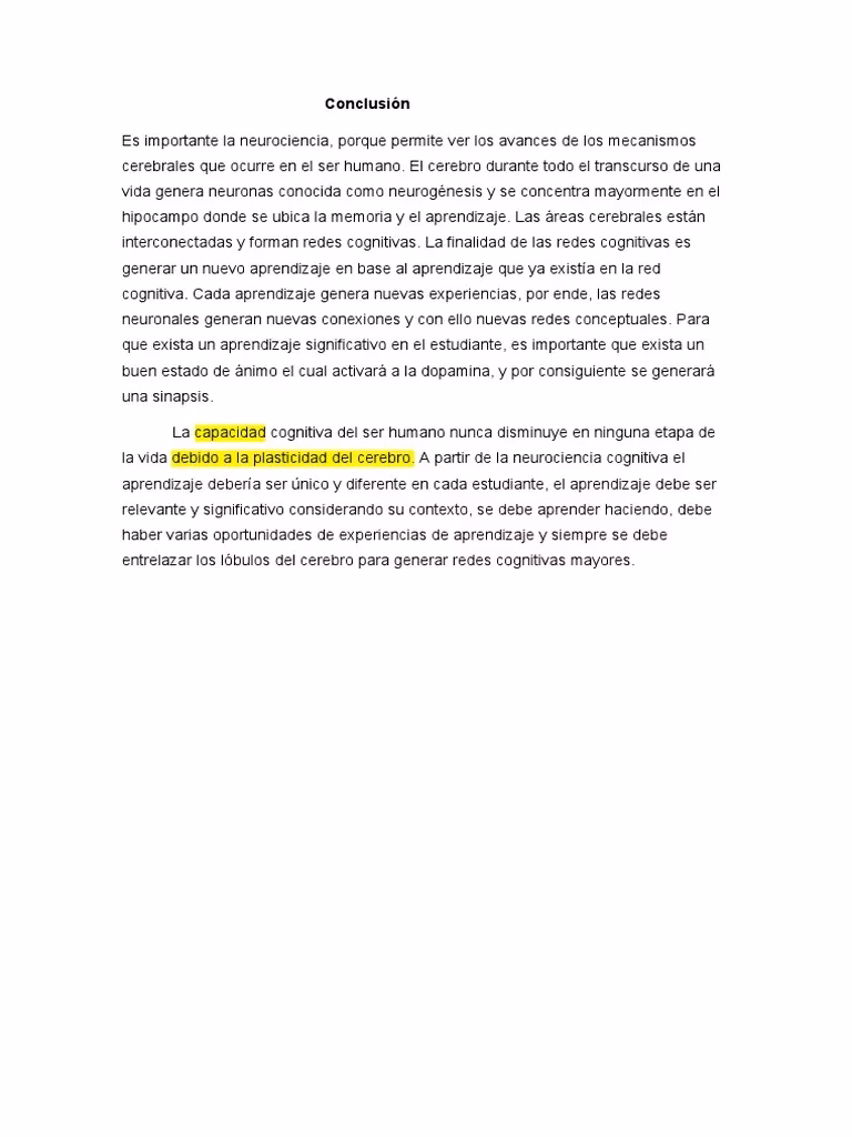 ¿Cuáles son las conclusiones principales de la neuroeducación?