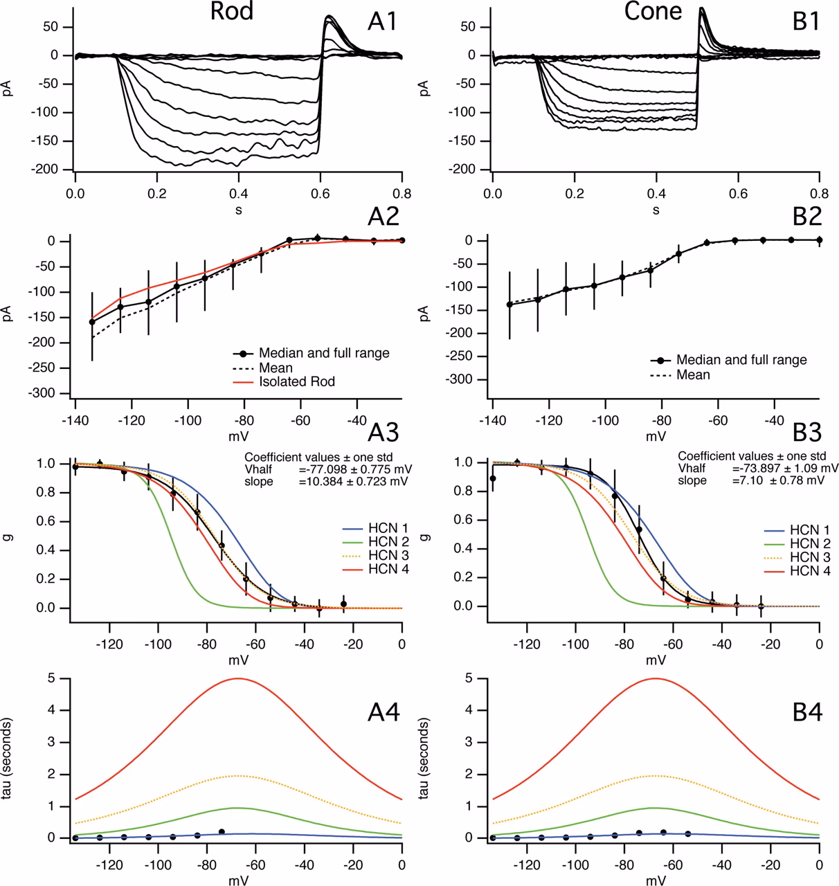 What is conductance in neuroscience?