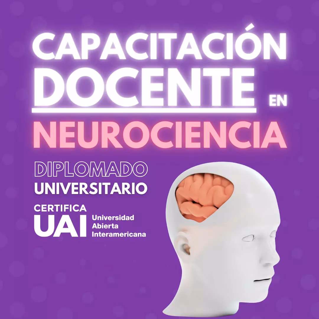 ¿Cuándo hay convocatoria docente?