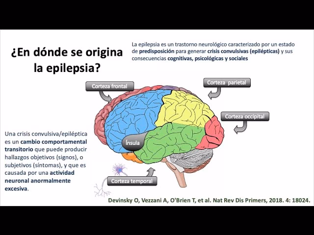 ¿Cuál es la diferencia entre una crisis convulsiva y una crisis epileptica?
