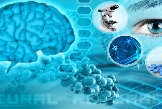 ¿Qué es la teoría crítica de la neurociencia?