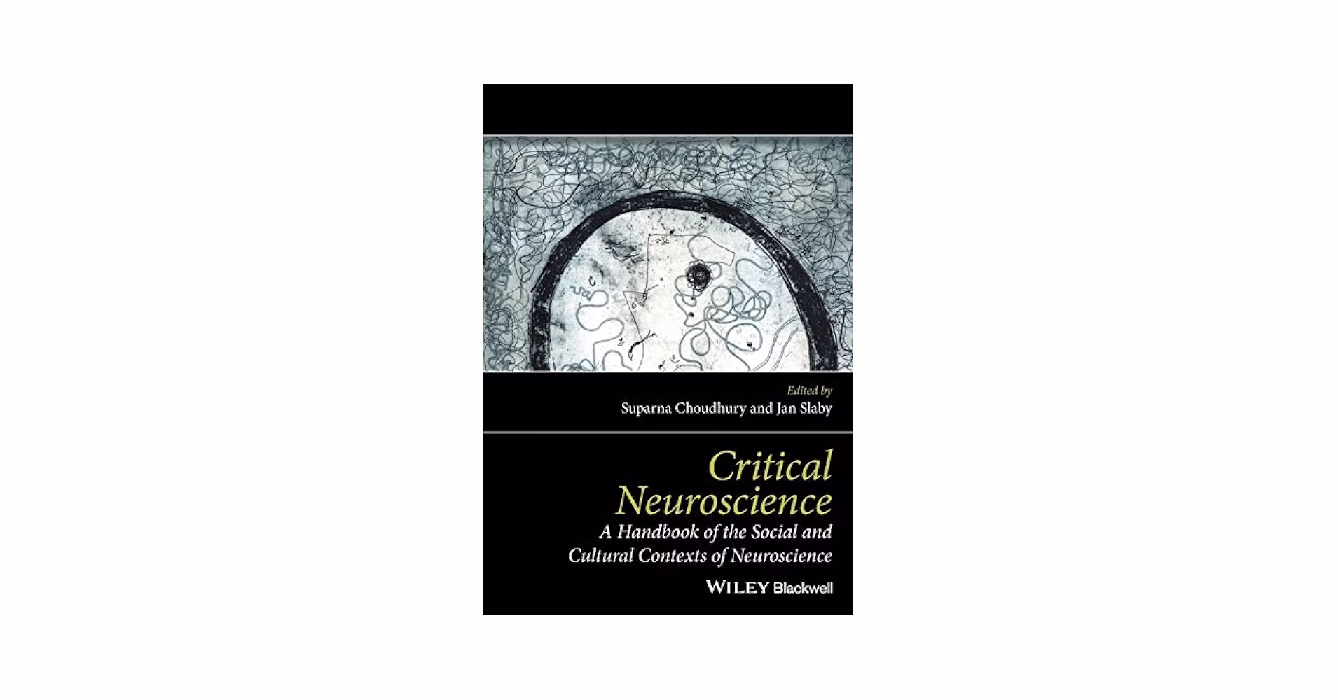 What is criticality neuroscience?
