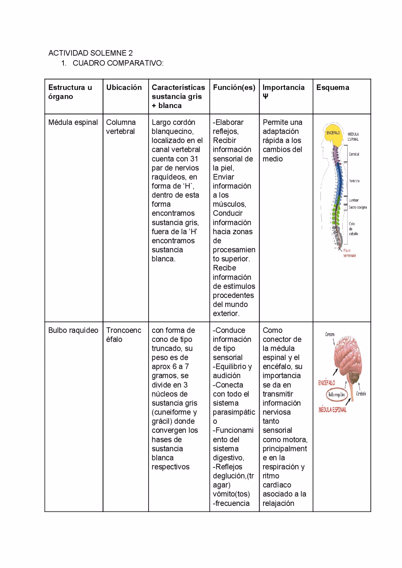¿Cuál es la diferencia entre las teorías psicoanalíticas y cognitivas?