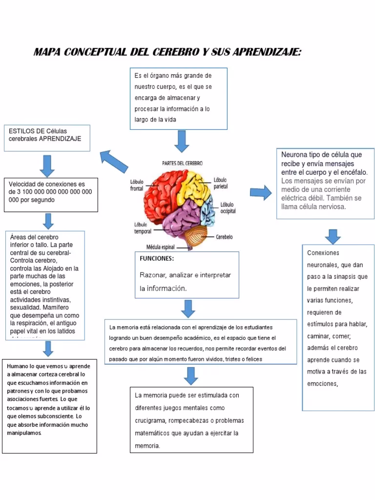¿Cuáles son los 10 principales neurotransmisores?