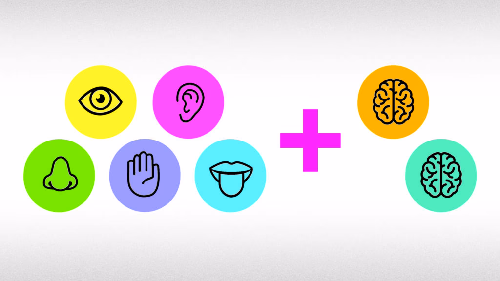 ¿Cuáles son los 22 sentidos del ser humano?