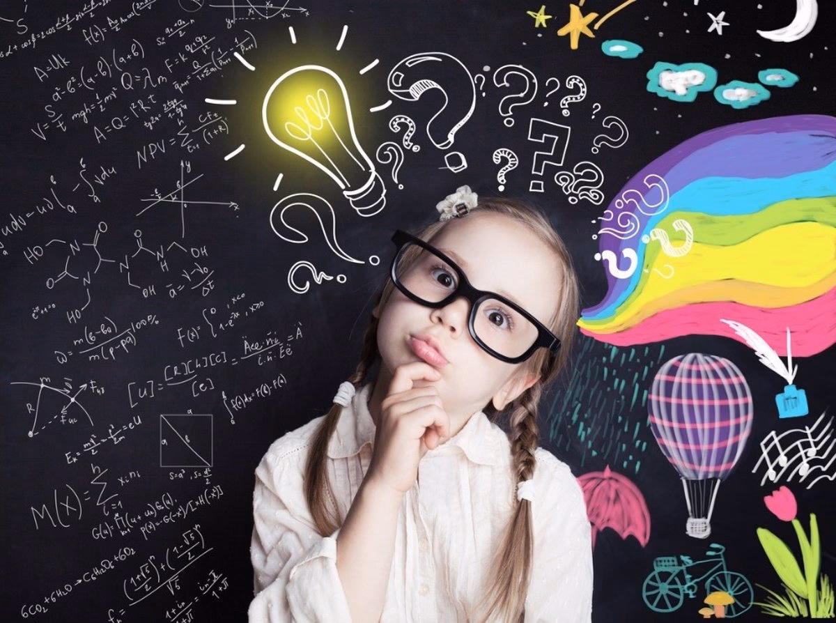 ¿Qué parte del cerebro se encarga de la curiosidad?