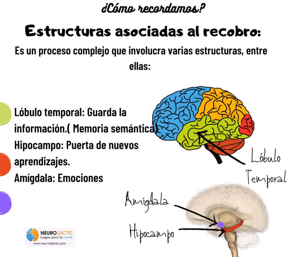 ¿Qué es el concepto de memoria?