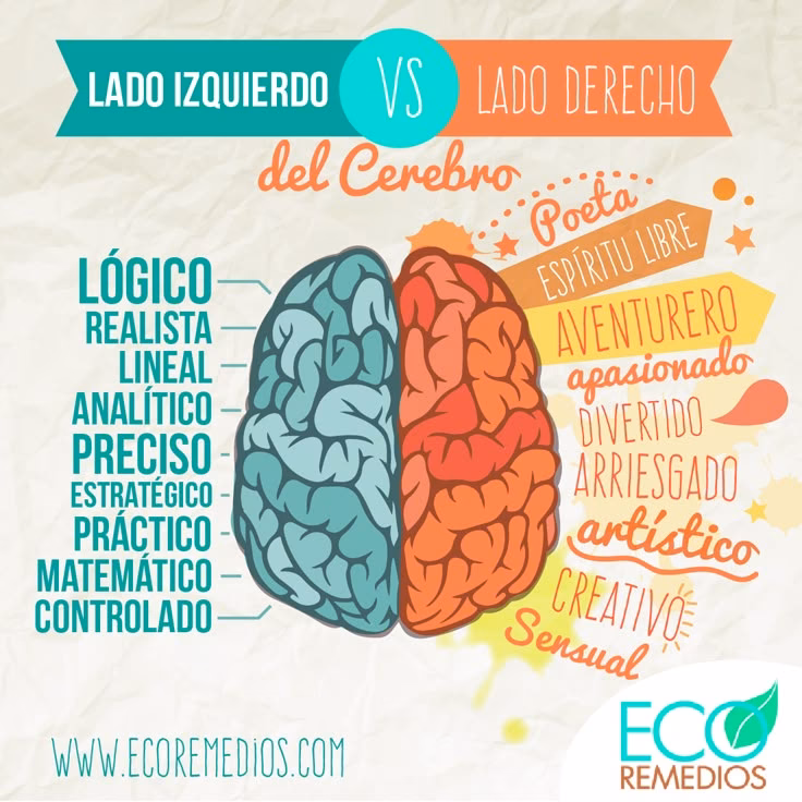 ¿Qué habilidades tiene el lado izquierdo del cerebro?