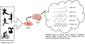 Where are Hona Wellness CBD Gummies made?