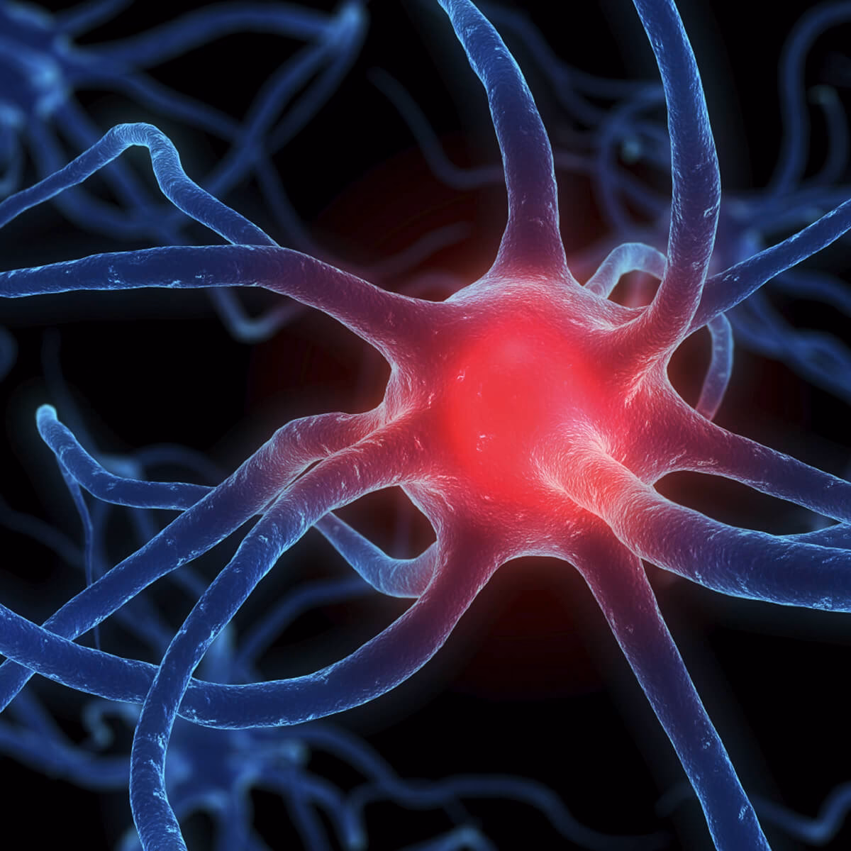 Does Denison have a neuroscience major?