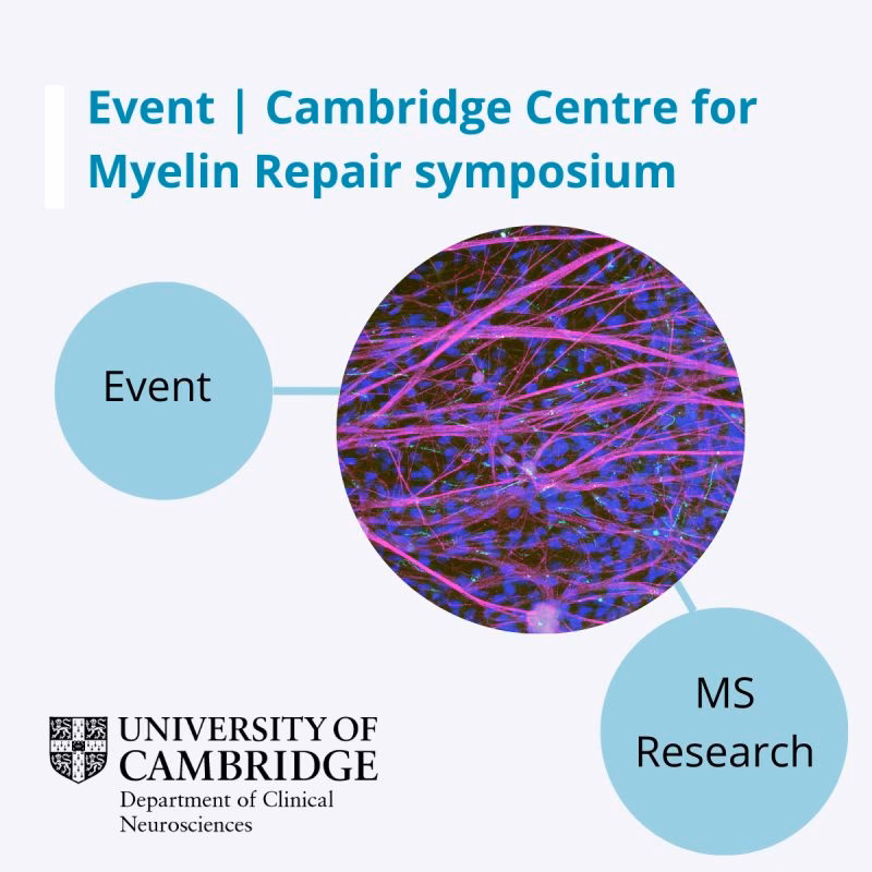 Who is the head of clinical neurosciences at Cambridge?