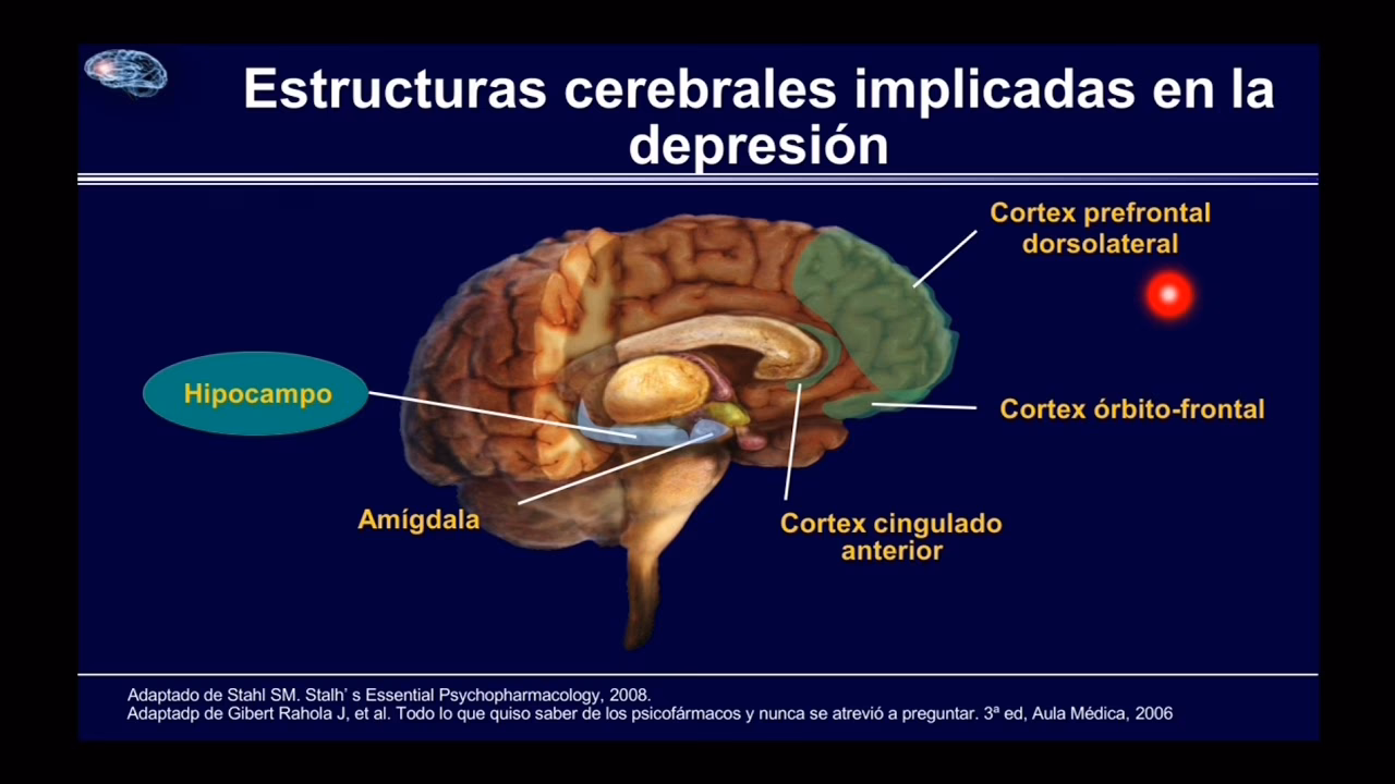 ¿Qué sucede en el cerebro durante el trastorno depresivo mayor?