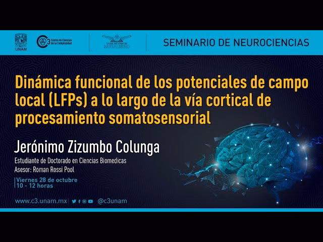 ¿Qué es una dinámica neuronal?
