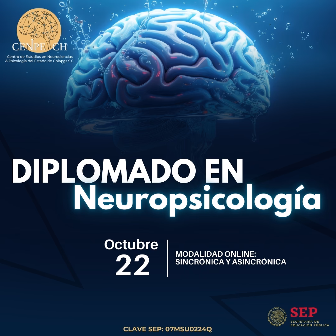 ¿La UVM tiene una especialización en neurociencia?