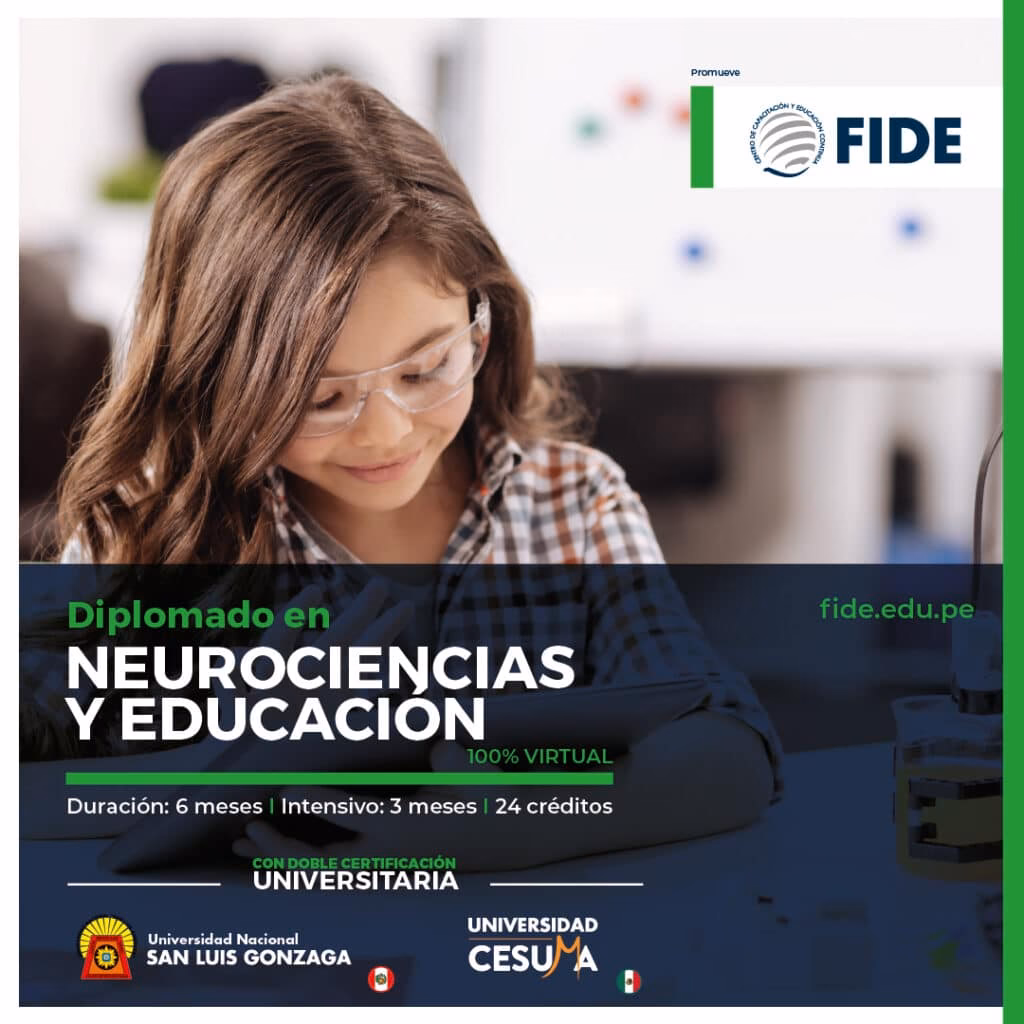 ¿Qué profesionales pueden estudiar neurociencia?