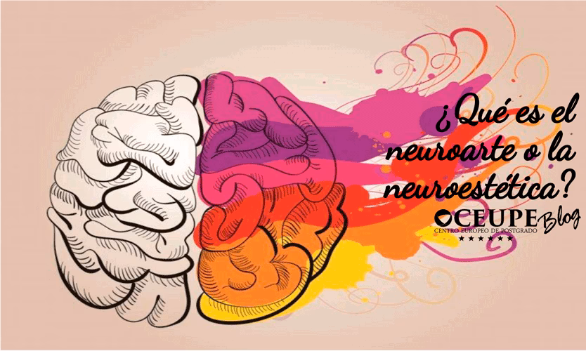¿Dónde puedo estudiar neuroestética?