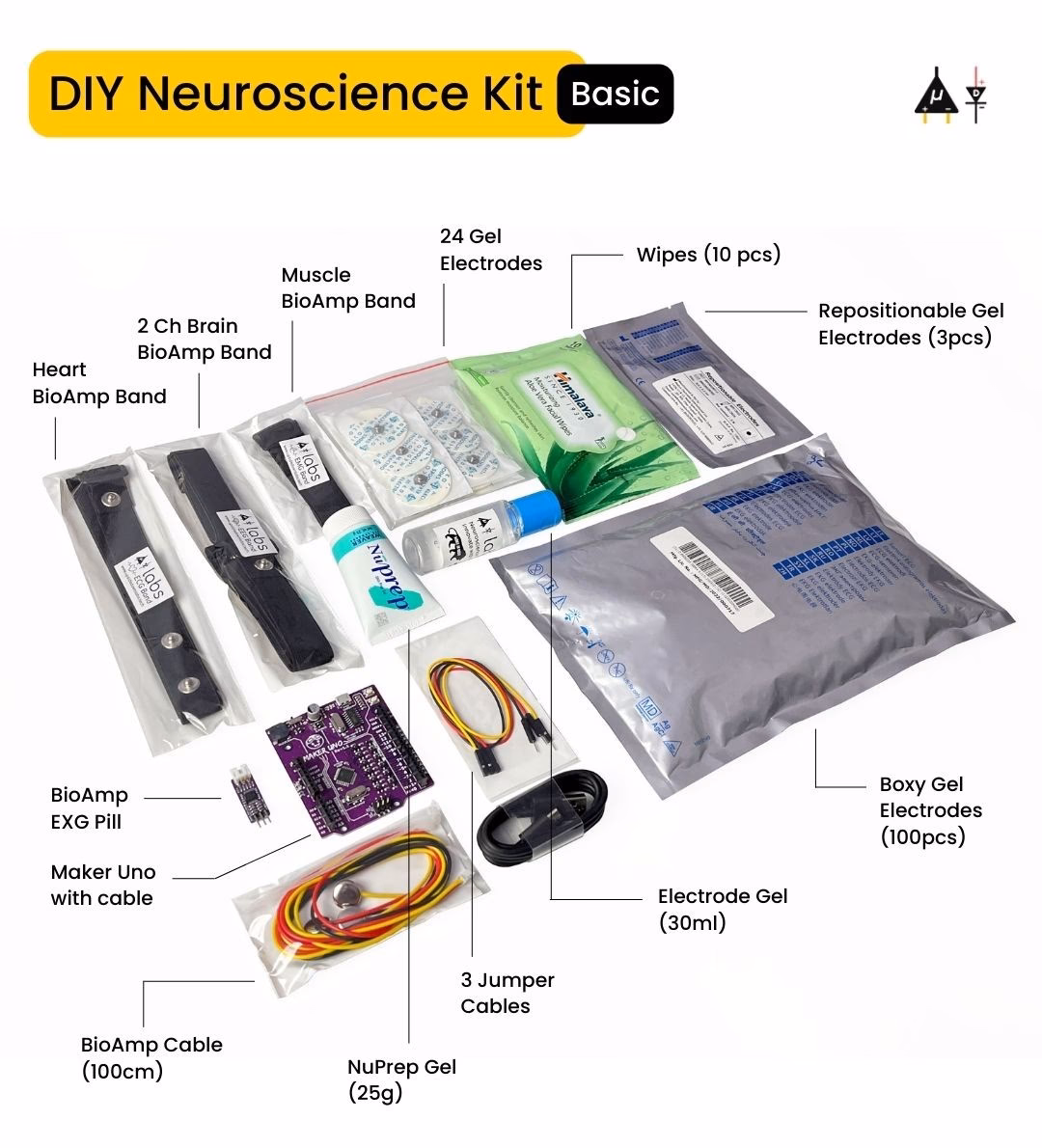 What is a DIY neuroscience kit?