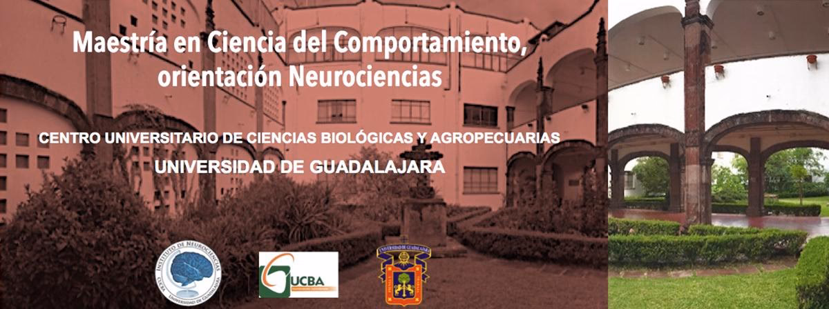 ¿Cuánto cuesta un Doctorado en la UDG?