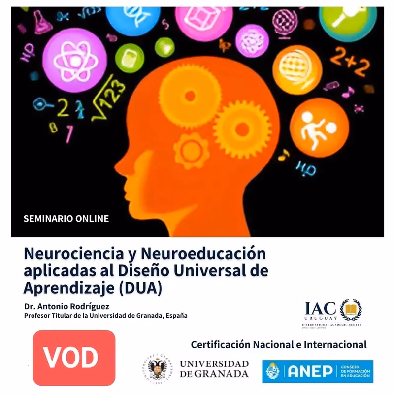 ¿Cómo se relaciona la neurociencia con el DUA?
