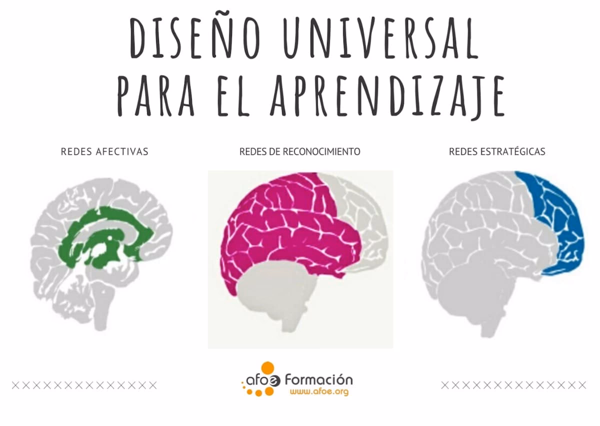 ¿Cuáles son los 3 principios de DUA?