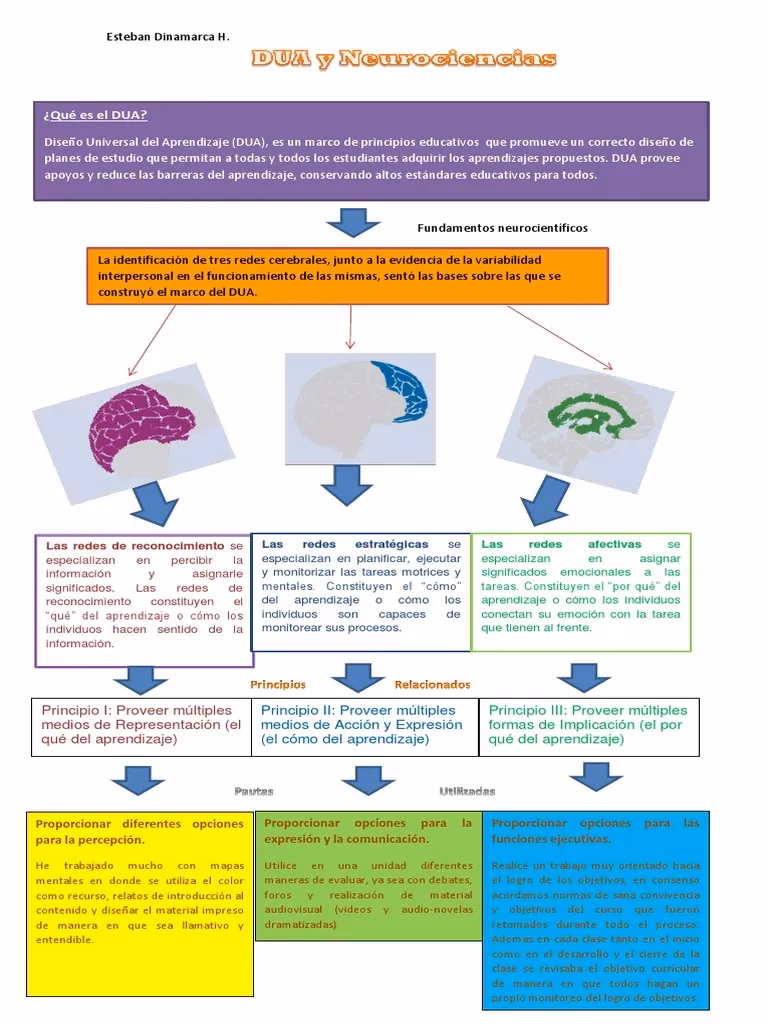 ¿Qué son las redes neuronales en el DUA?