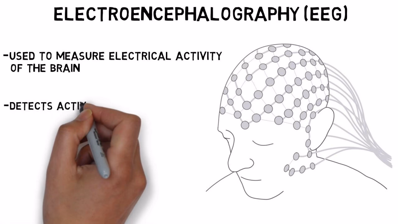 What is the neurological basis of EEG?